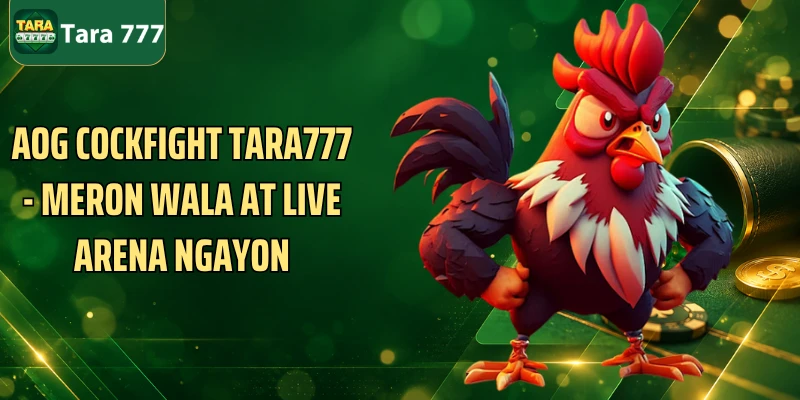 AOG Cockfight Tara777 - Meron Wala At Live Arena Ngayon