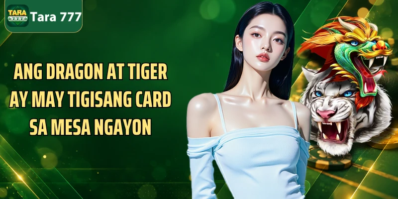 Ang Dragon at Tiger ay may tigisang card sa mesa ngayon