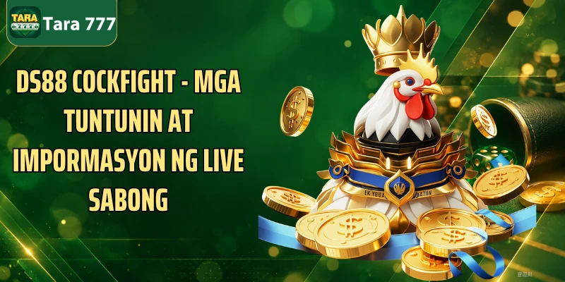 DS88 Cockfight - Mga Tuntunin At Impormasyon Ng Live Sabong