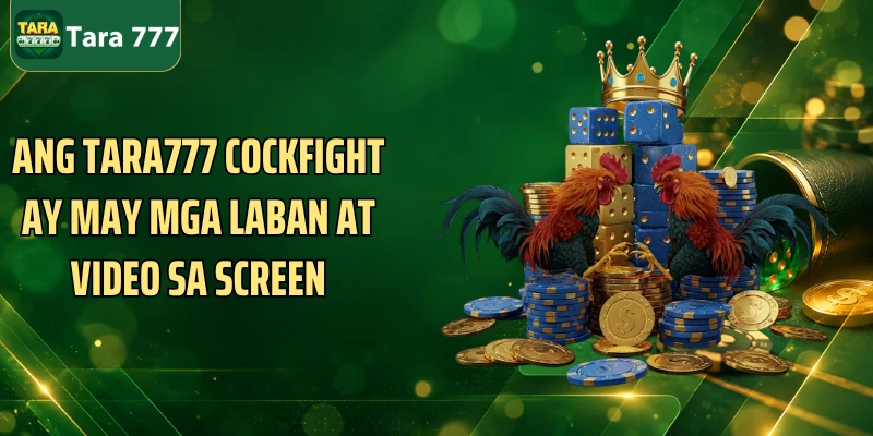 Ang Tara777 Cockfight ay may mga laban at video sa screen