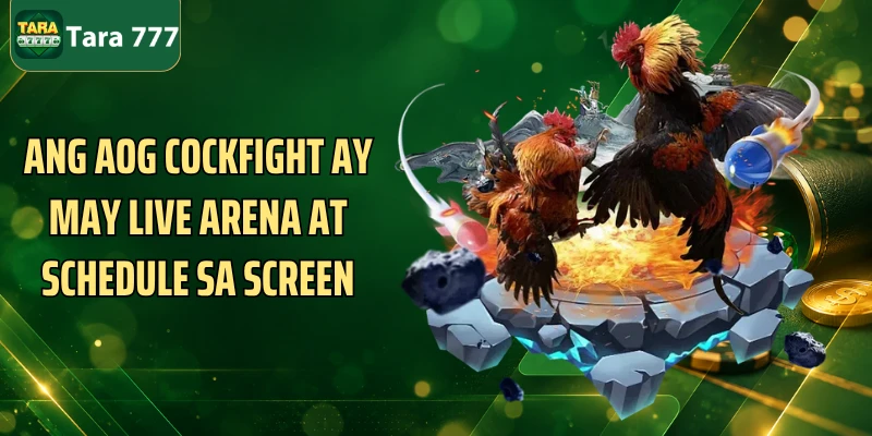 Ang AOG Cockfight ay may live arena at schedule sa screen