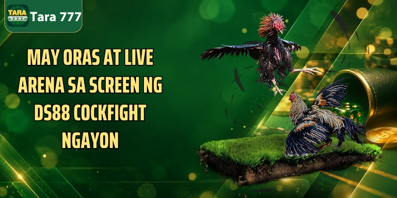 May oras at live arena sa screen ng DS88 Cockfight ngayon